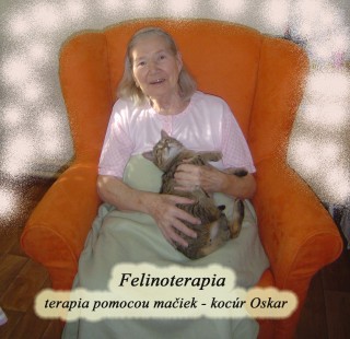 Felinoterapia v zariadení opatrovateľskej služby